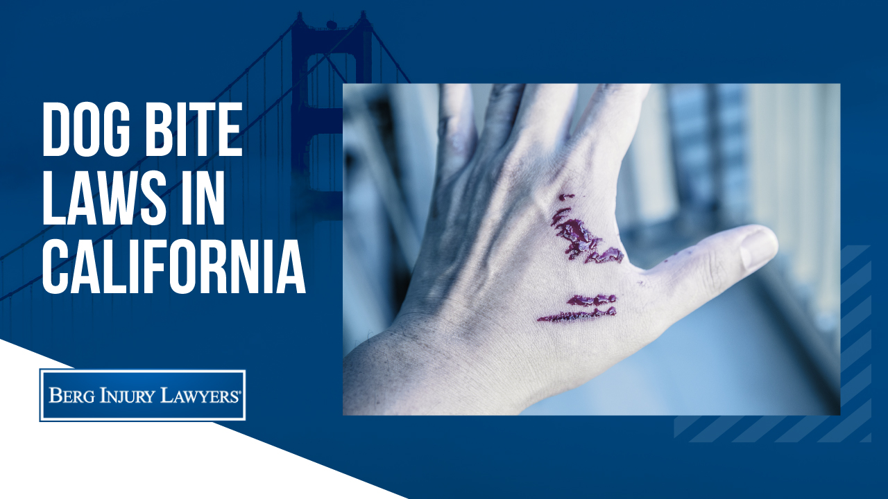 Dog Bite Laws in California